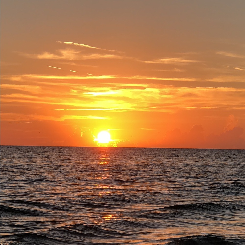 Meet your Posher, Scarlet